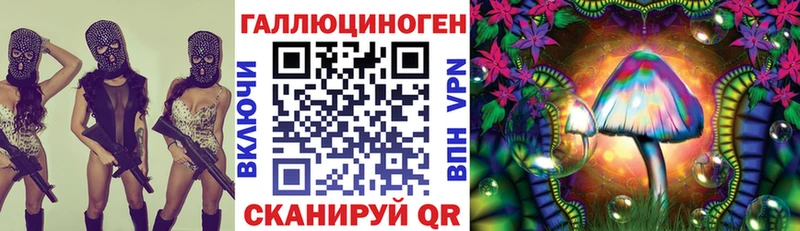 Псилоцибиновые грибы прущие грибы  ОМГ ОМГ ссылки  Гулькевичи 